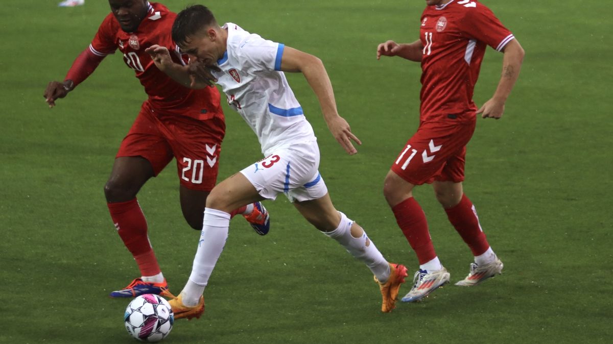 Lvíčata zabojují s Litvou o baráž před vyprodanou Malšovickou arénou