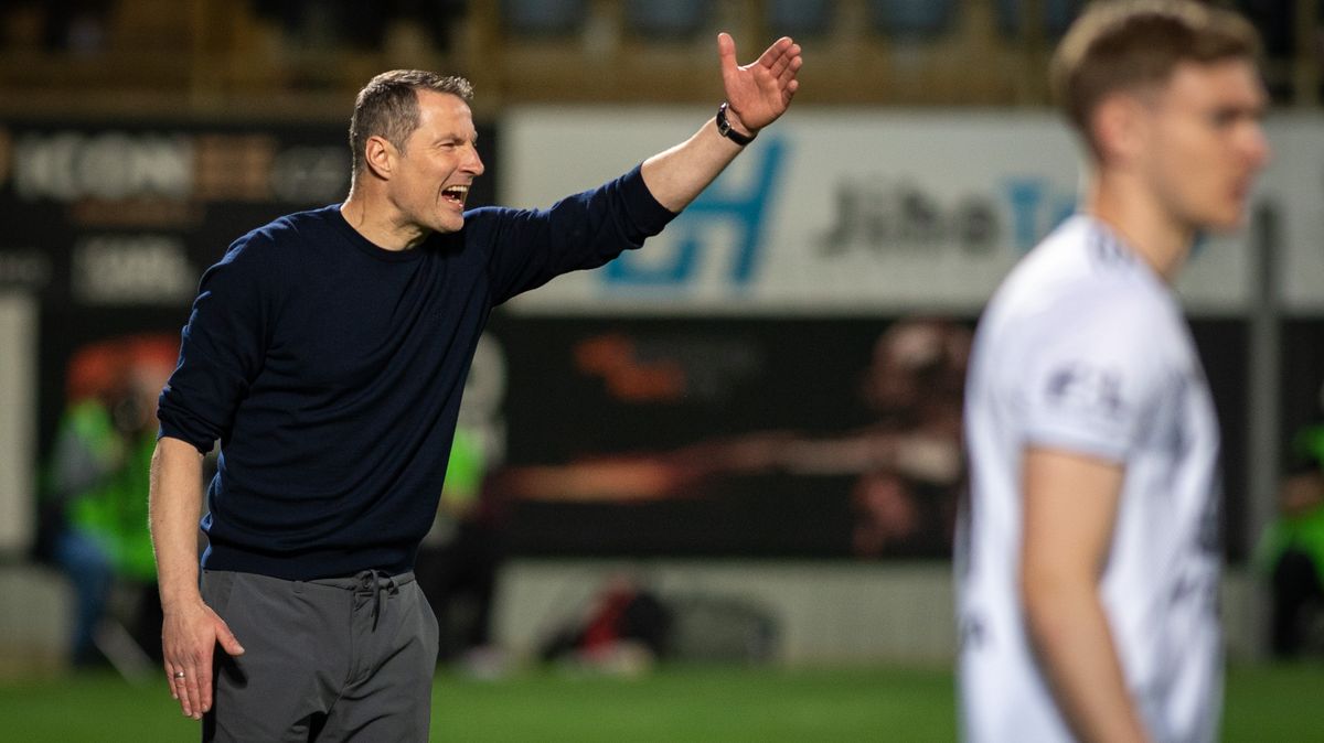 Chvála pro Mejdra. Krejčí a přáteláky v reprezentaci? Možná bychom si představovali méně minut, říká Priske