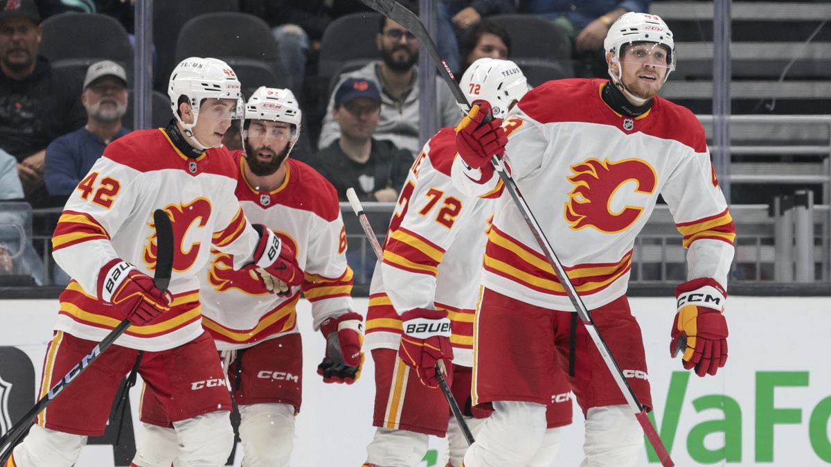 Stejný cíl, skoro stejné datum narození. Nabuzení Češi si řekli o místo v NHL