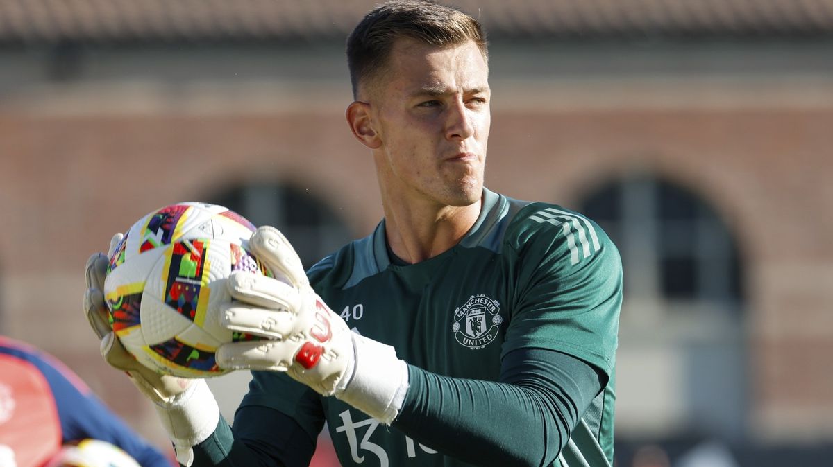 Mladý brankář Vítek bude z Manchesteru United hostovat v Linci