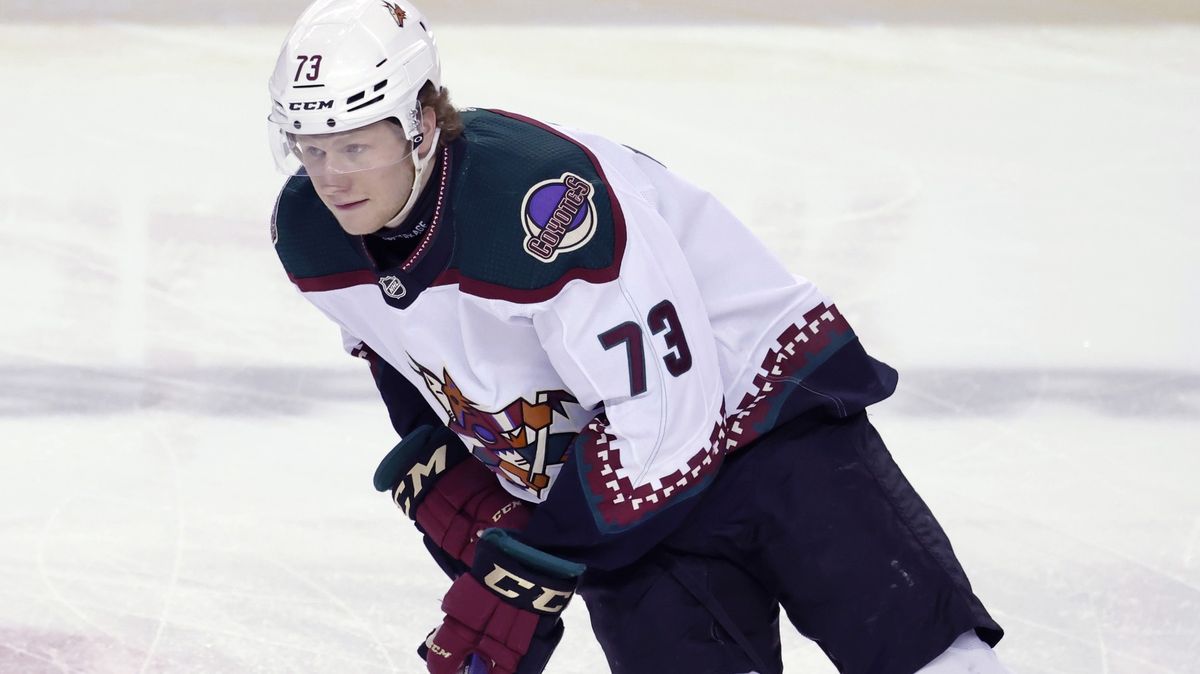 Hokejový útočník Jeník se v NHL stěhuje