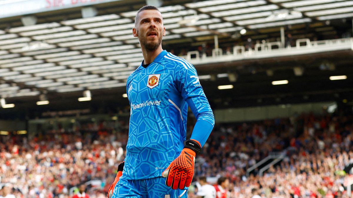 Brankář De Gea se po roční pauze vrátí k fotbalu ve Fiorentině