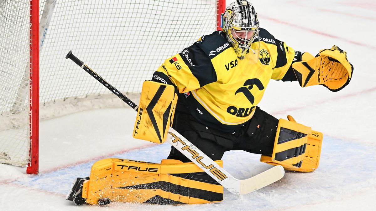 ONLINE: Videomomenty ze zápasu Litvínov - Liberec