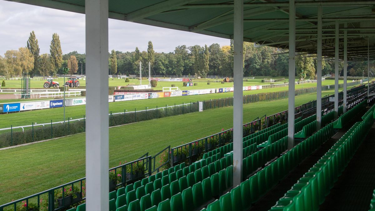 Šestnáct uchazečů o triumf ve Velké pardubické. Největším favoritem Godfrey