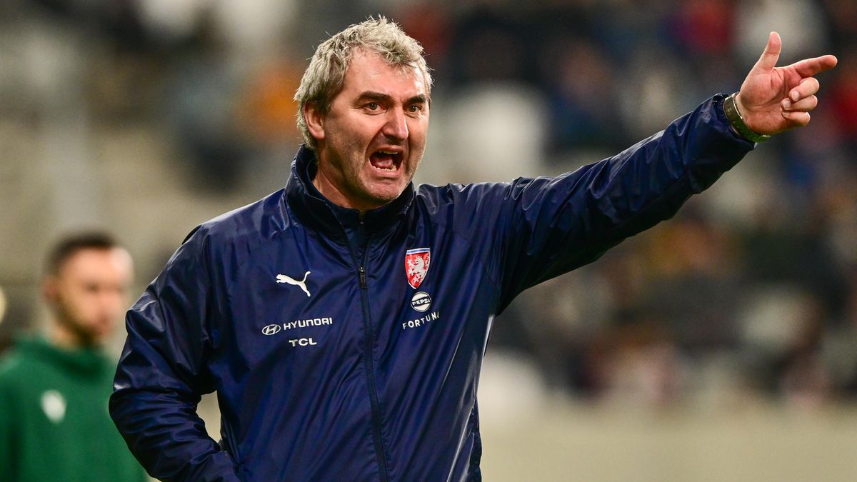 Daněk je hlavičková obluda, smál se Suchopárek po výhře nad Litvou