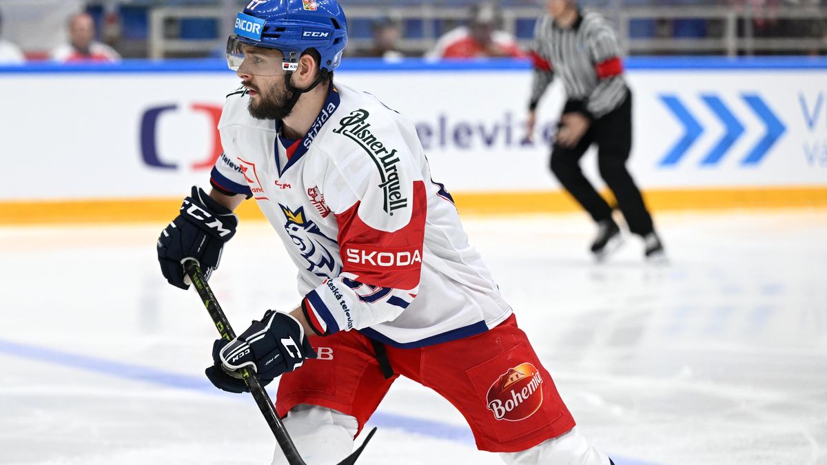 Posila Dynama Zbořil vysvětluje odmítnutí Komety: Musel jsem v sobě skousnout, že se nevrátím domů