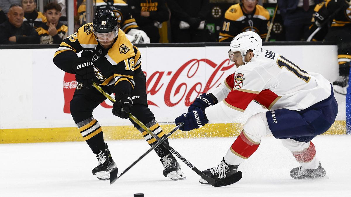 Pastrňák se Zachou nezabránili porážce Bostonu
