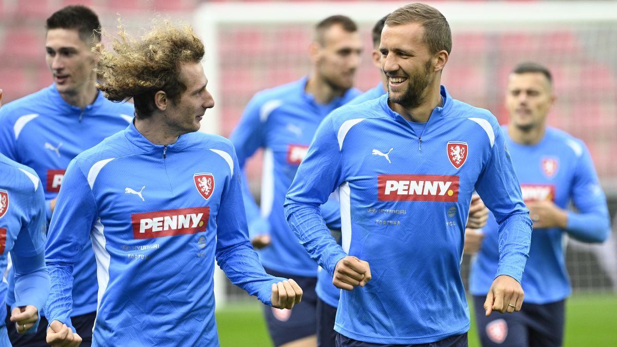 Využije reprezentace skvělou formu Slavie? O sestavě na Albánii mám jasno, říká Hašek