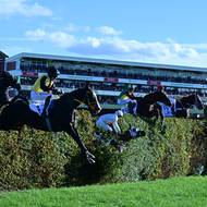 Velká pardubická 2024