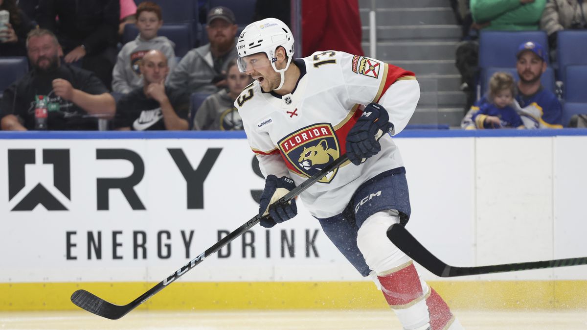 Hlavní hvězdou týdne v NHL byl útočník Floridy Reinhart