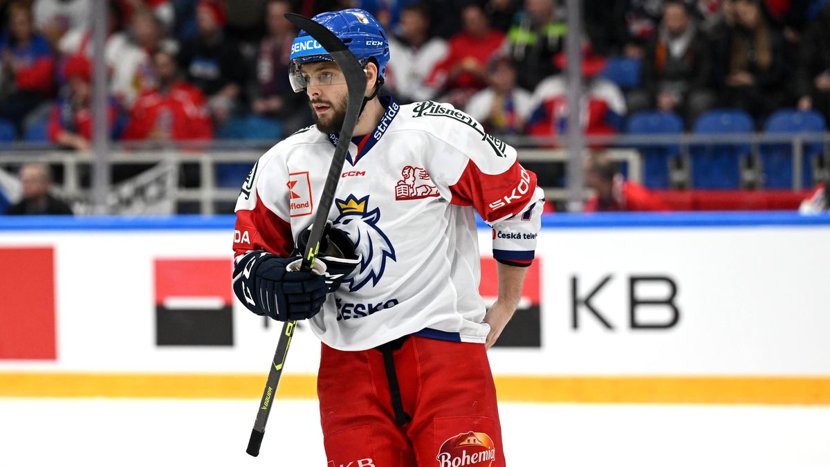 Jakub Zbořil se po deseti letech v zámoří vrací, působit bude v Pardubicích