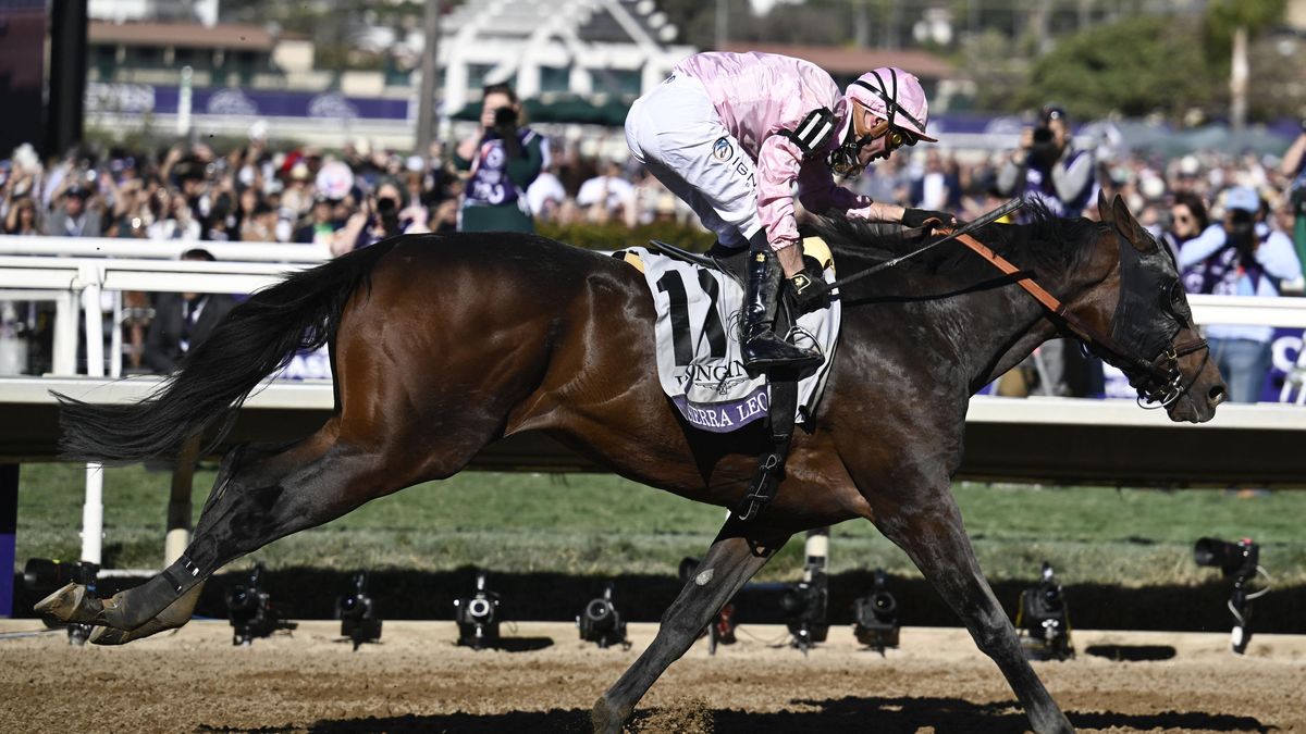 Sedmimilionový dostih Breeders' Cup Classic vyhrál kůň Sierra Leone