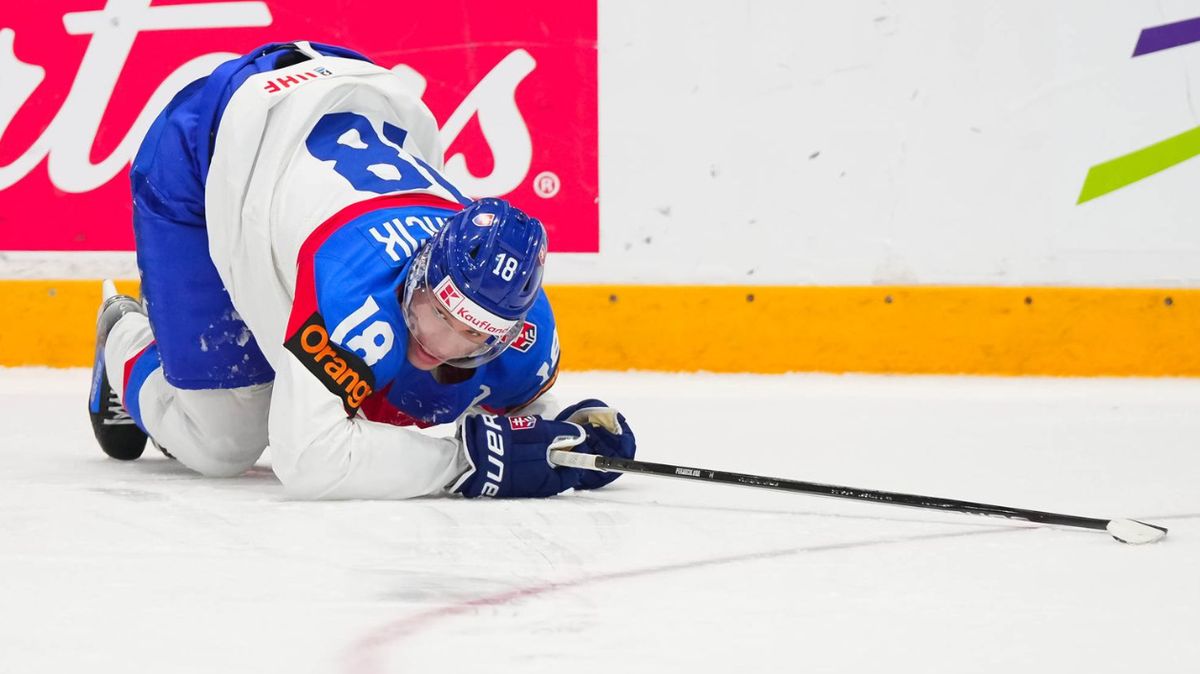 Rusko chce pozvat Slováky a Maďary na hokejový turnaj Ovečkin Cup do Moskvy