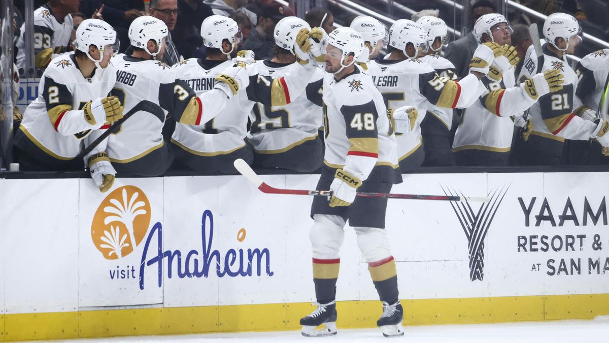 PŘÍMO Z NHL: Menší odpovědnost, větší cíle. Hertl chce být ve Vegas ještě užitečnější