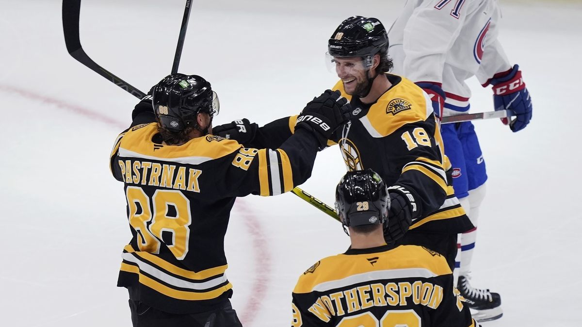 PŘÍMO Z NHL: Švédská varianta nevychází, Pastrňák sebevědomí najde vedle Zachy
