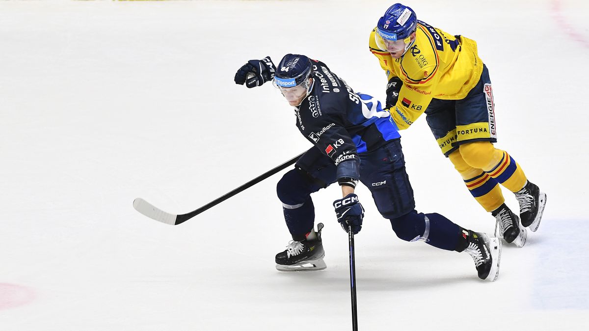 Českým Budějovicím se zranil na reprezentační akci Kašlík