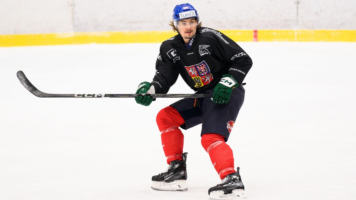 Je to kvalitní turnaj s dobrými hráči, říká Tomášek o Švýcarských hrách