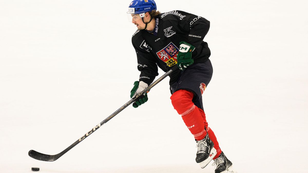 Potvrzeno. Mistr světa Tomášek se po rozvázání smlouvy v Edmontonu vrátil do švédského Färjestadu