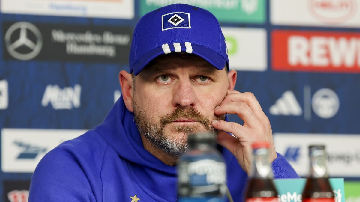 Karabec bude mít v Hamburku nového kouče, Baumgarta klub odvolal