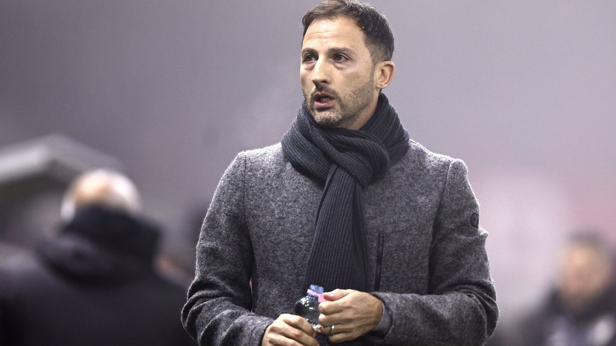 Trenér Tedesco skončil na lavičce belgické reprezentace