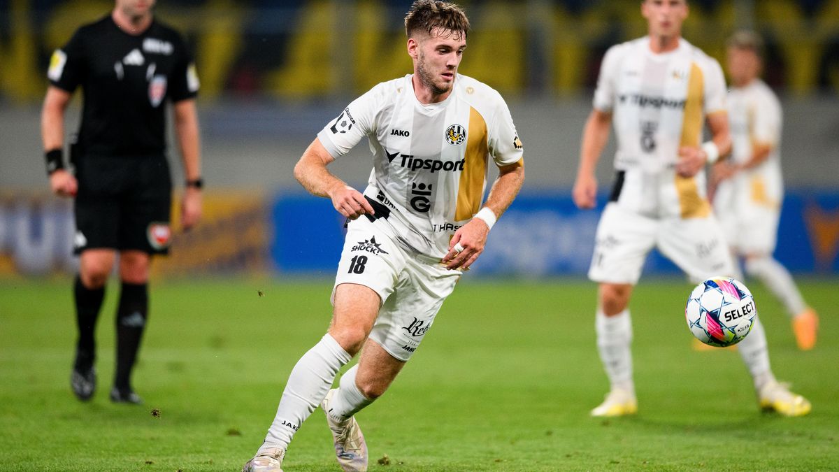 Do tendru na prodej FC Hradec Králové se přihlásili dva zájemci