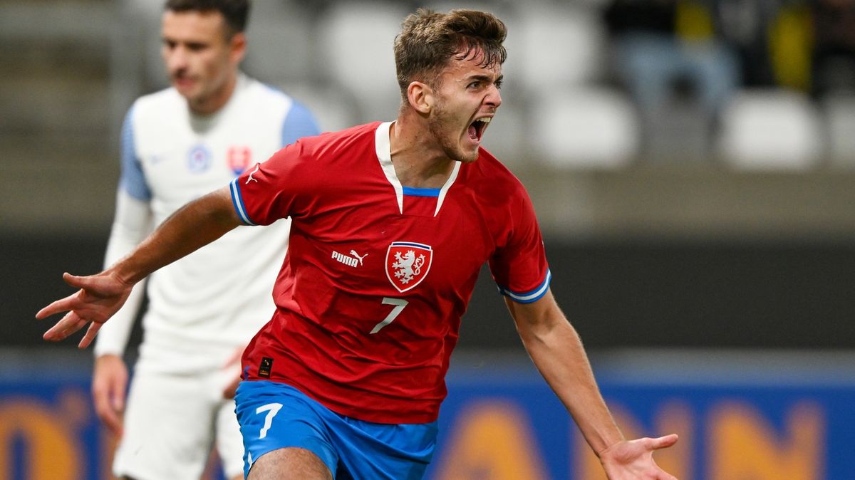 Posila pro Pardubice. Na hostování přichází mládežnický reprezentant
