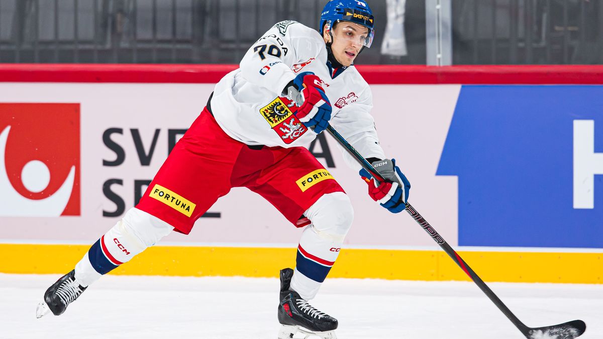 Reprezentant Galvas o životě ve Švédsku, NHL i bráchovi: Strašně mu závidím