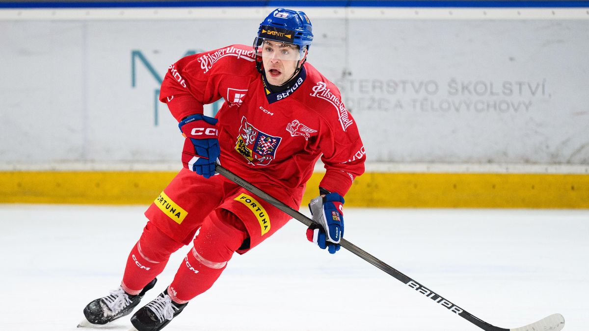 Necítím se o nic starší než ostatní, říká nejzkušenější hráč omlazené reprezentace