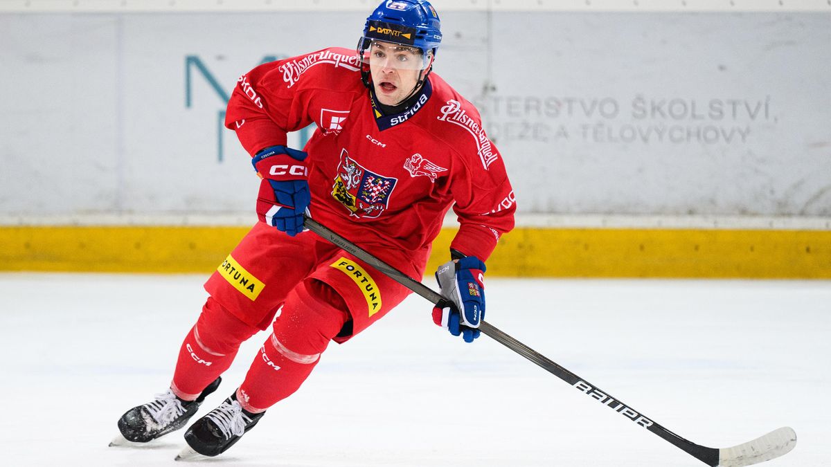 Lenc končí předčasně švédské angažmá a vyhlíží návrat do extraligy