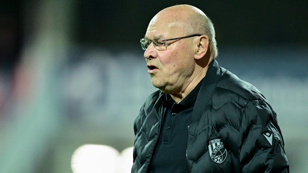 Koubek: Nechci si brát berličku, ale nějakou daň za Evropu platíme