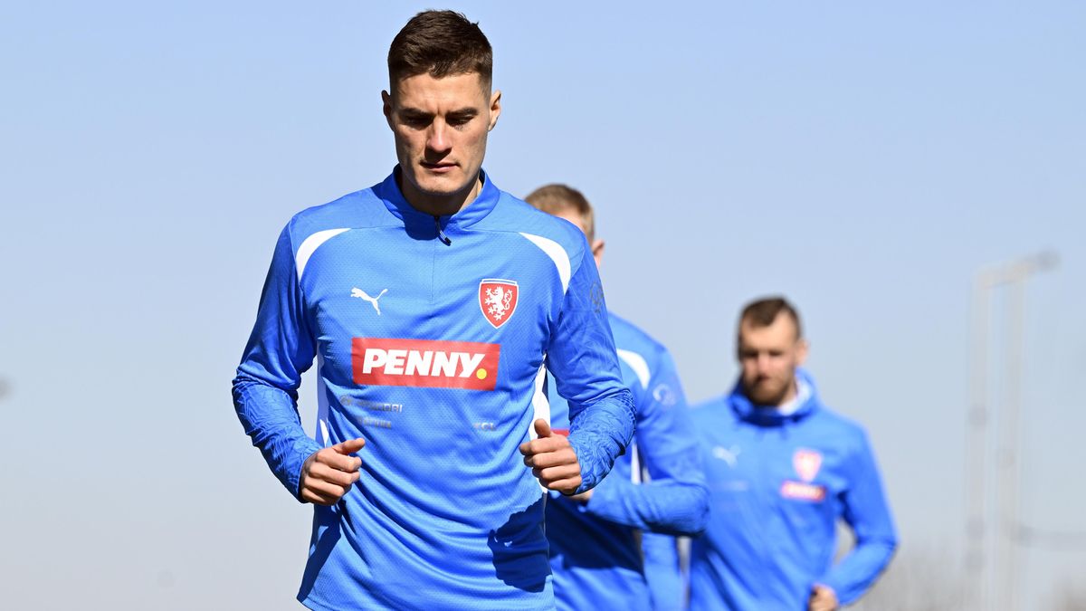 Na Faeřany se Schickem. Chorý s ním, nebo na lavičce? Experti se neshodnou