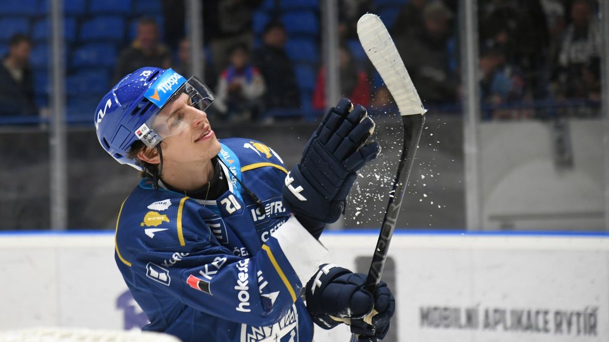 Hockey Transfers: White Tiger’s New Attacker