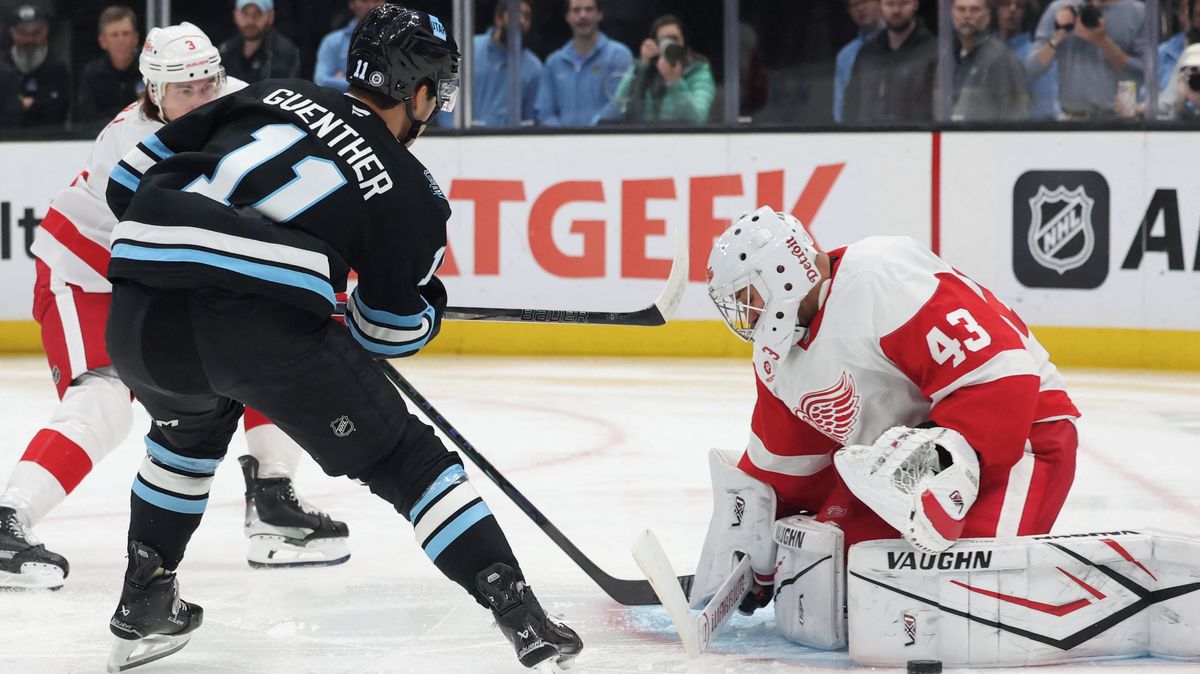 NHL Czech Duel Ends Quickly