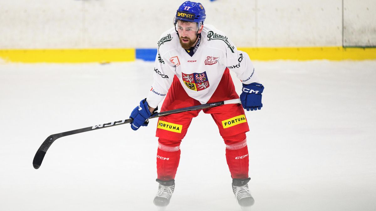 U Hronka čekáme na výstupní prohlídku, řekl Šlégr směrem k MS. Některé hráče ze zámoří už má jisté