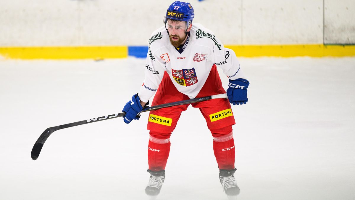 Po zklamání návrat k reprezentaci. Už nechci přemýšlet nad sezonou ve Vancouveru, říká Hronek