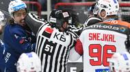 HOKEJ ONLINE: Videomomenty. V Brně to vře hned od úvodu, Hořava po konci třetiny vystartoval na rozhodčí