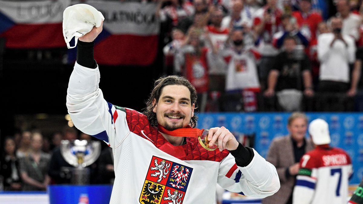 Tomášek Apologizes at MS Hockey World Championship