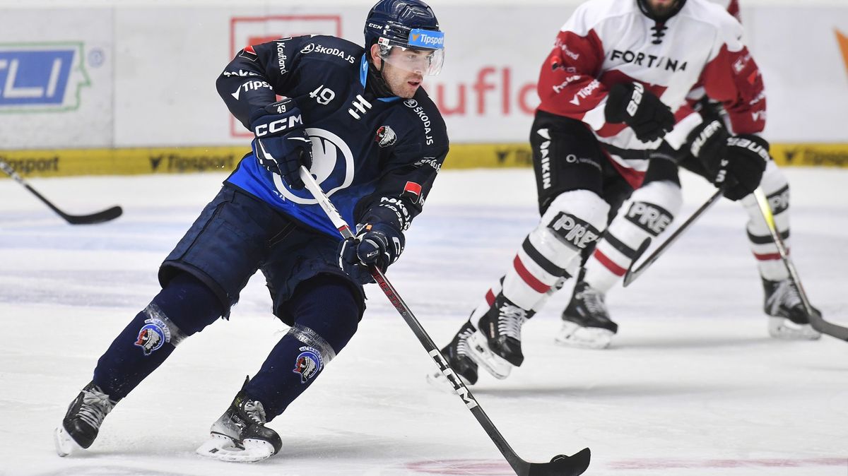 Plzeň si pojistila bývalého reprezentanta