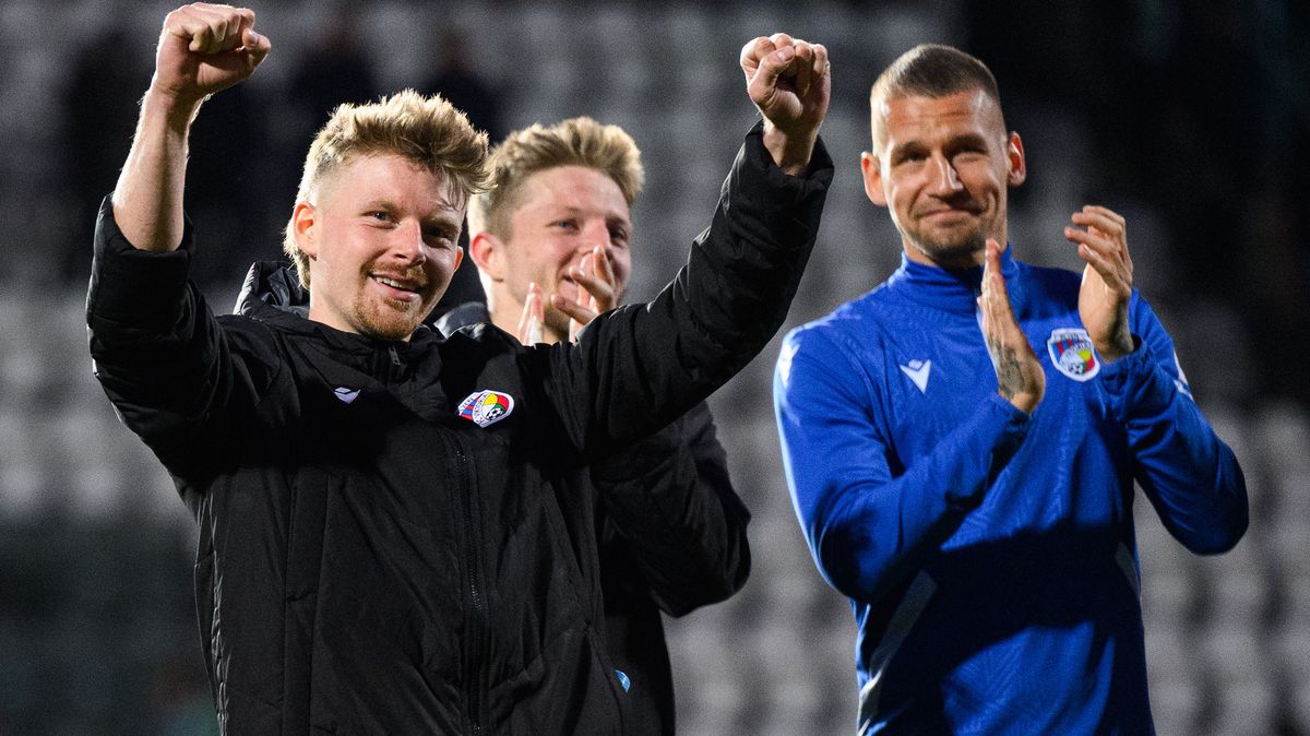 Bohemians naštvala penalta pro Plzeň. Expert se diví: Vždyť Šulc mohl mít po nohách!