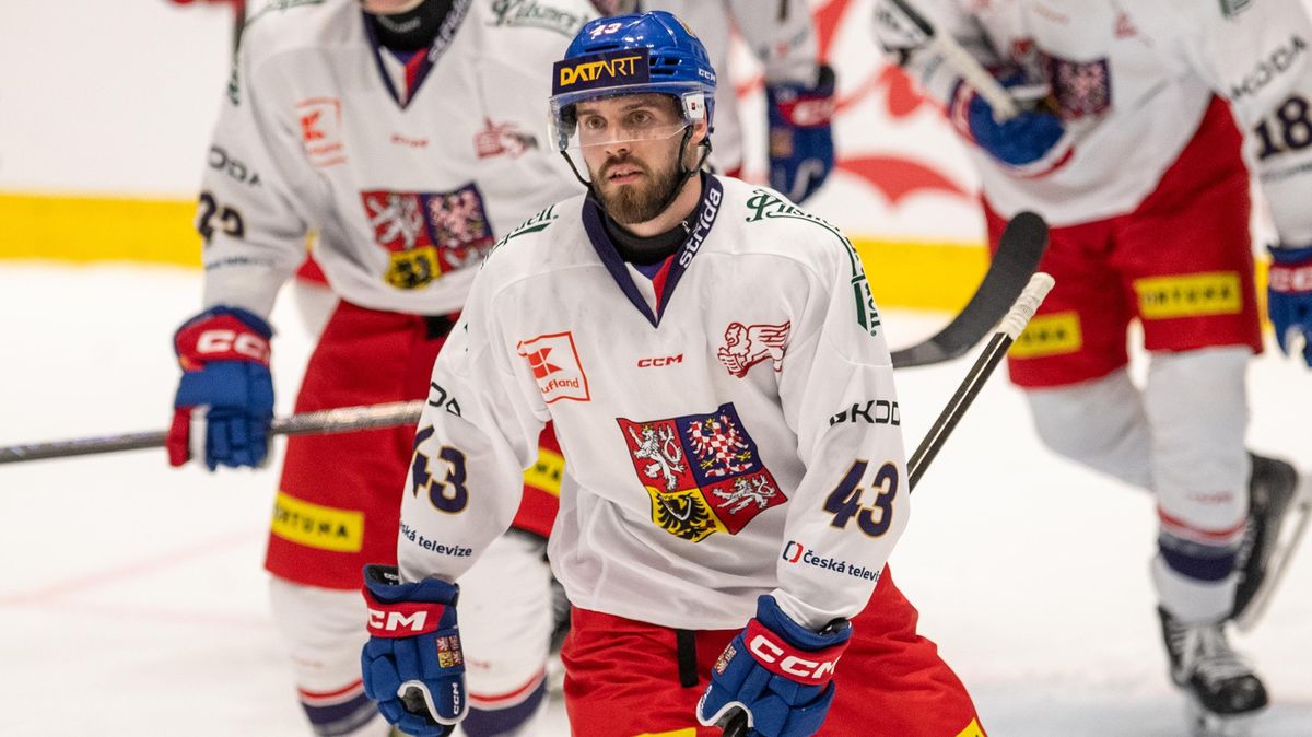 Play off je minulost, mám před sebou nový cíl a tím je mistrovství světa, řekl Špaček