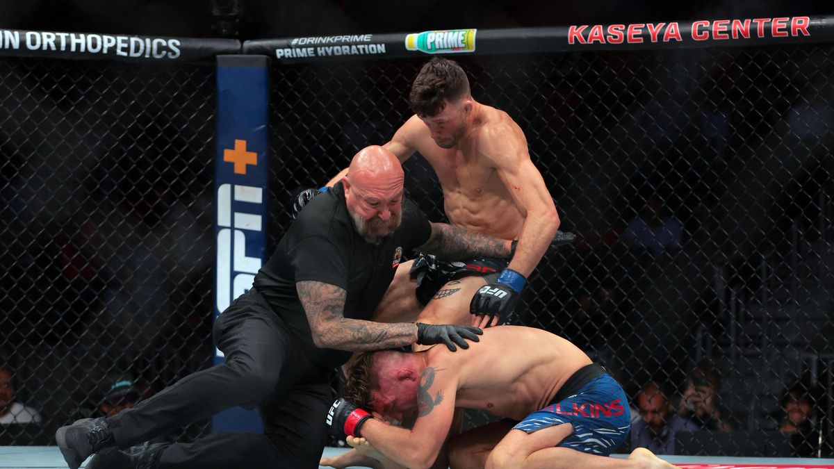 V UFC řeší zkrat sudího. Seberte mu licenci, zuří odborníci po kontroverzním finiši