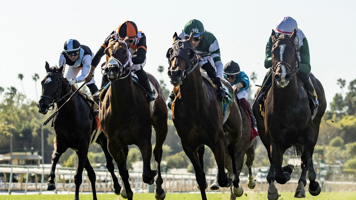 U Váňů truchlí. Nečekaně uhynul nejbohatší dostihový kůň české historie