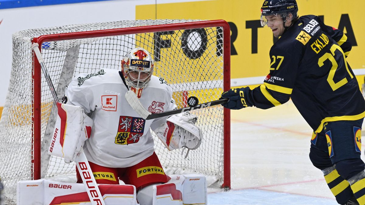 Vladařův ostrý debut proti Švédům. Setkání s Haškem byla obrovská čest, pochvaluje si