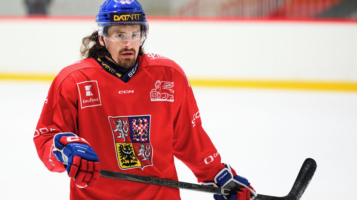 Reprezentační hokejový útočník Voženílek se po dvou letech vrací do Třince