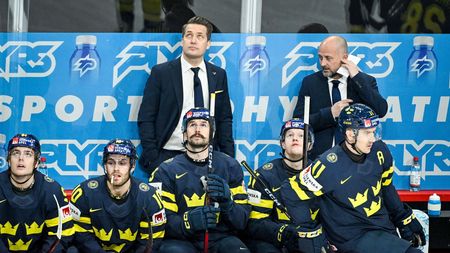 Švédsko je před bitvou s Českem pod tlakem. Prohra rovná se propadák, přiznává kouč Seveřanů