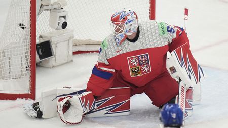 Vejmelka je extrémně špatný. Nejhorší z NHL, radovali se ve švédské televizi během čtvrtfinále