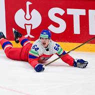 Český útočník David Kämpf z Česka během zápasu se Švédskem.