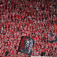 Tribuna Sever 