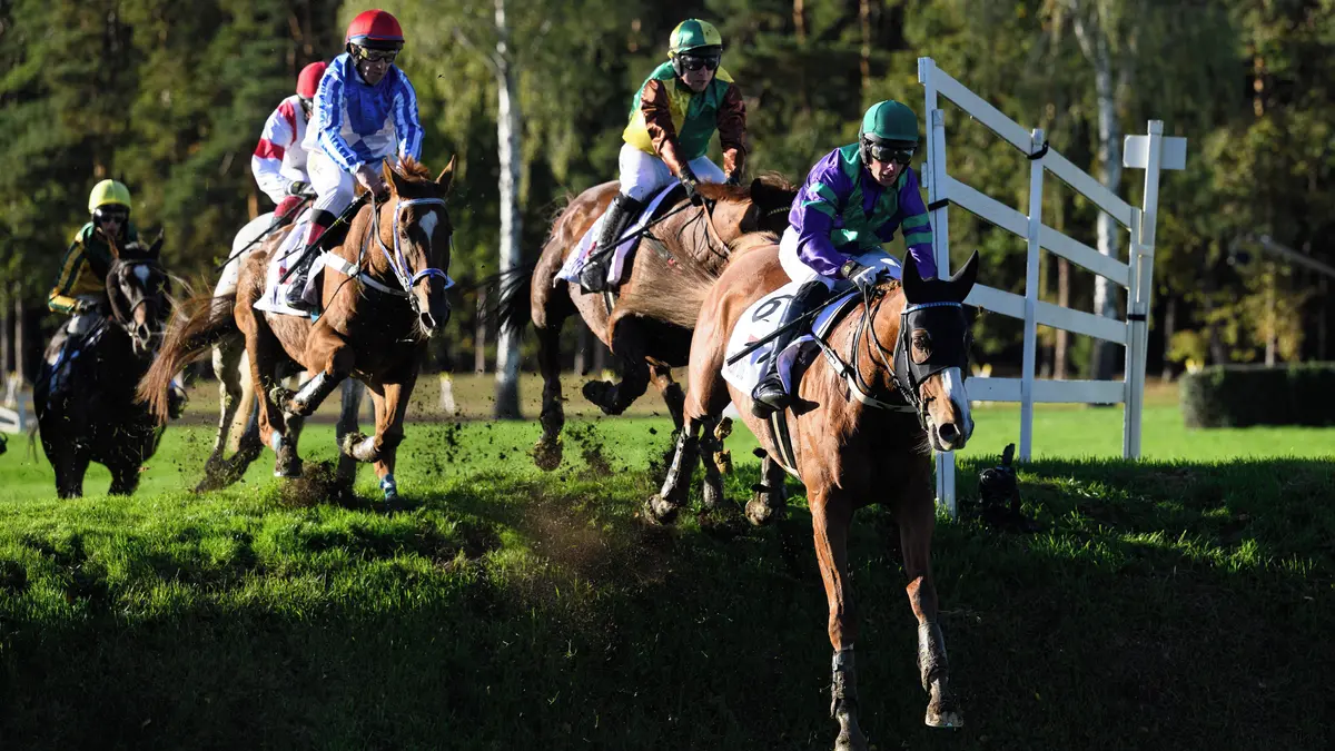Photo: Sport.cz Czech Steeplechase Legend Jaroslav Myška Retires After Historic Career and Velká Pardubická Triumph