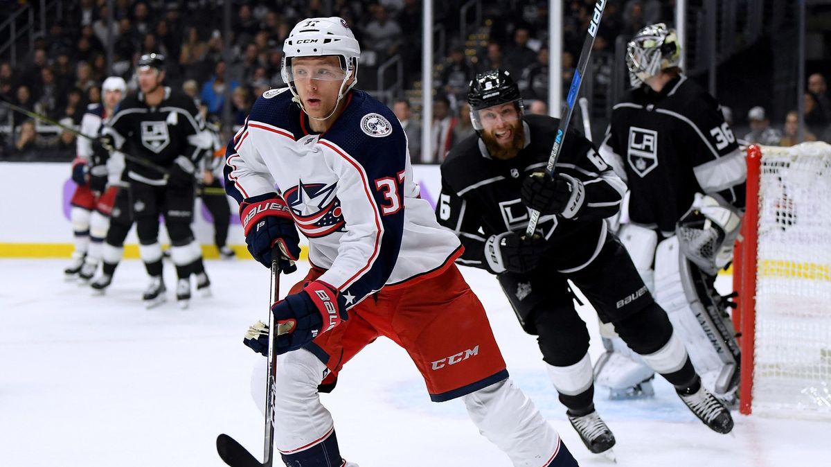 Litvínov získal posilu se zkušenostmi z NHL